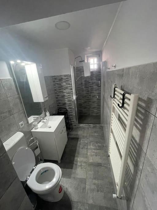Lady M Apartment Sighisoara Luaran gambar